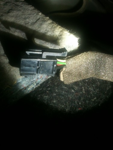 Si fiske desneje puseje