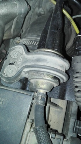 14697077_1289176354460589_1379932502_o (1).jpg