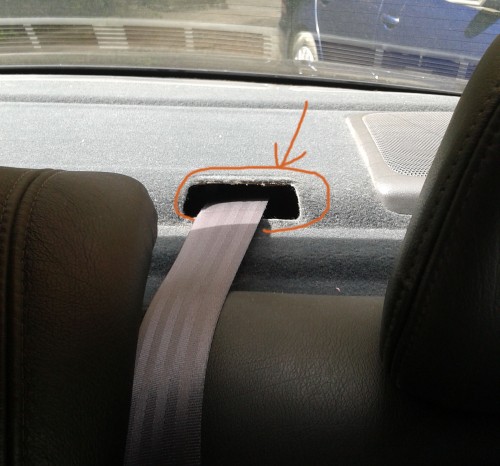 nera dirzo plastmases 1.jpg